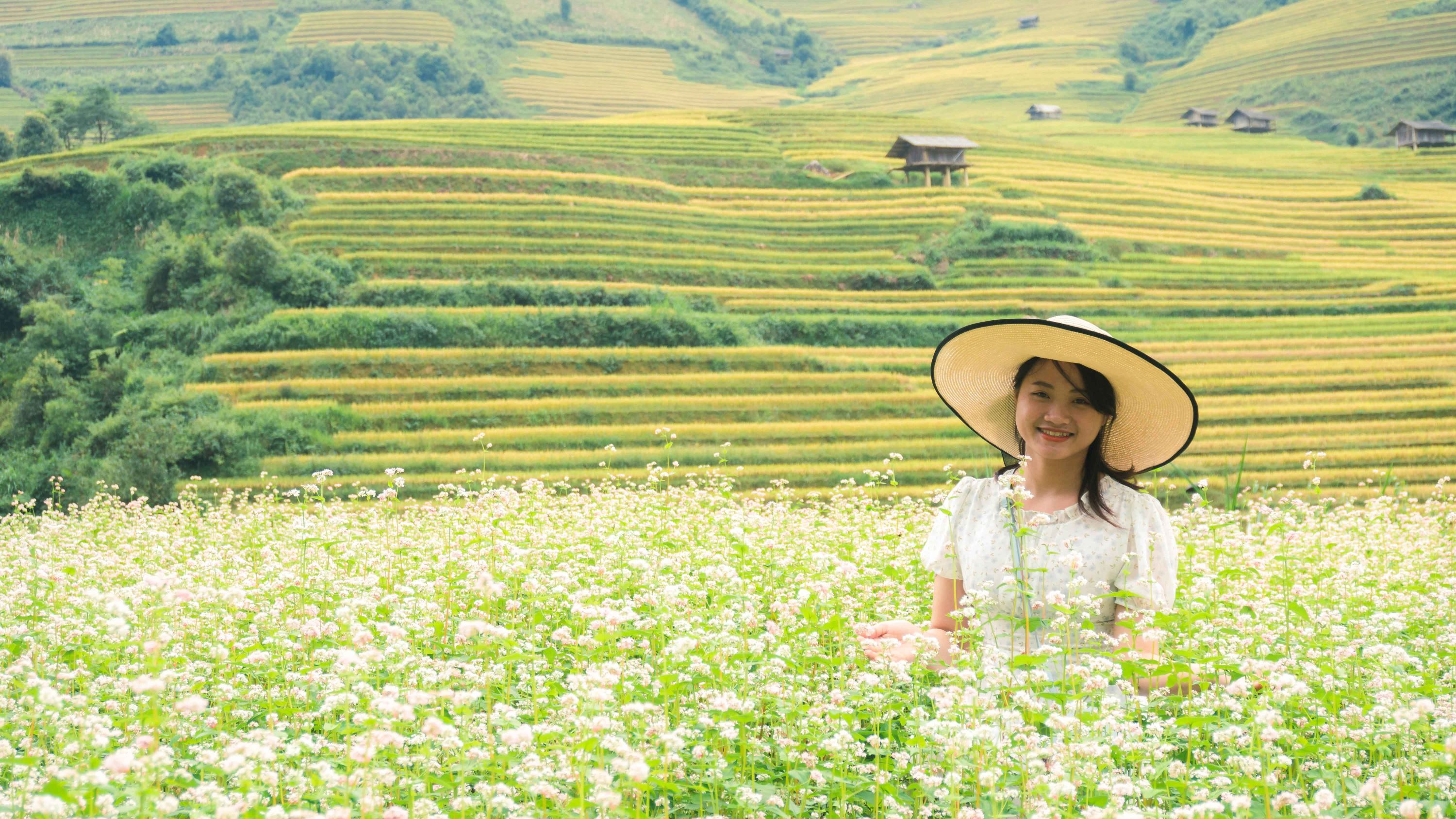 mu cang chai tam giac mach