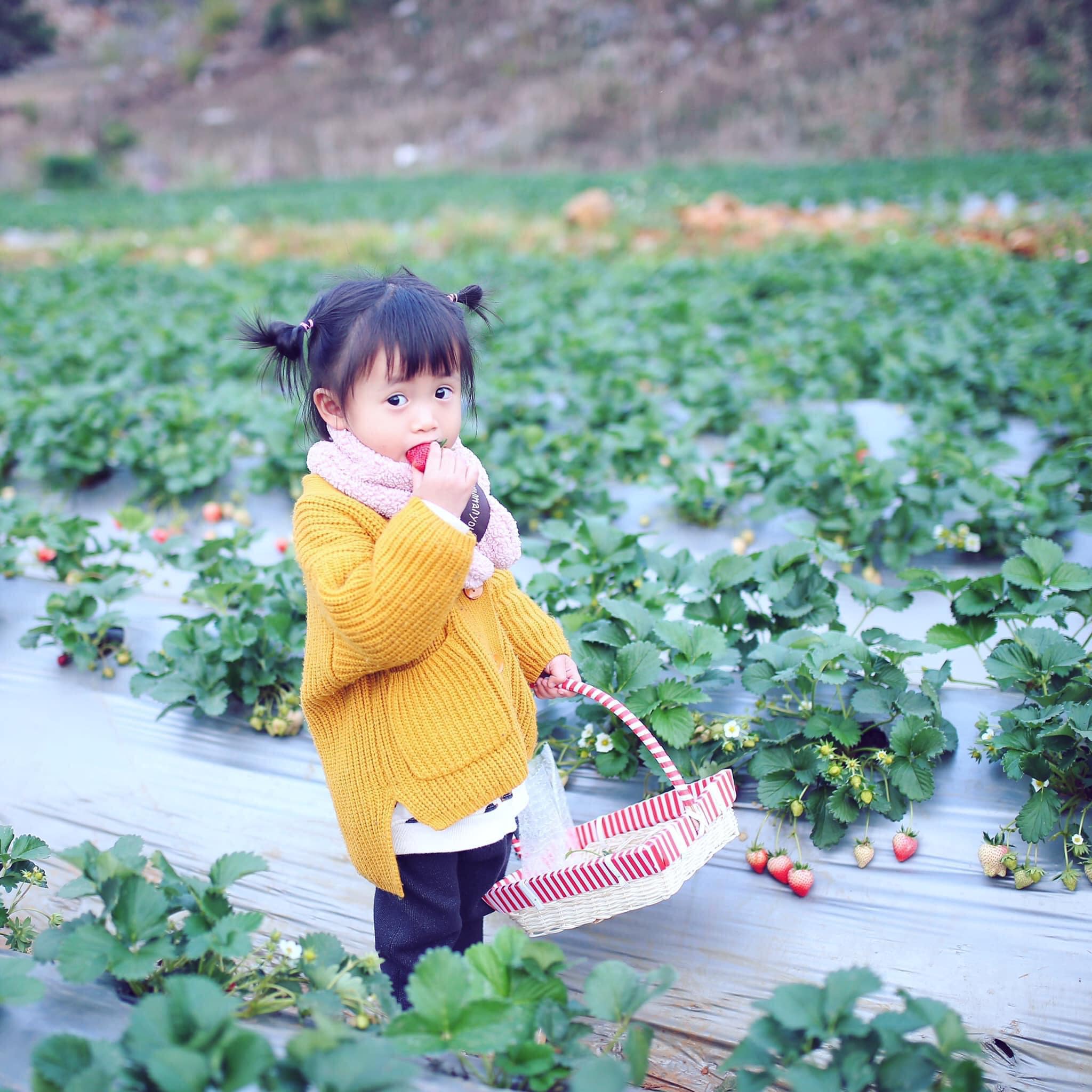 happy farm mộc châu