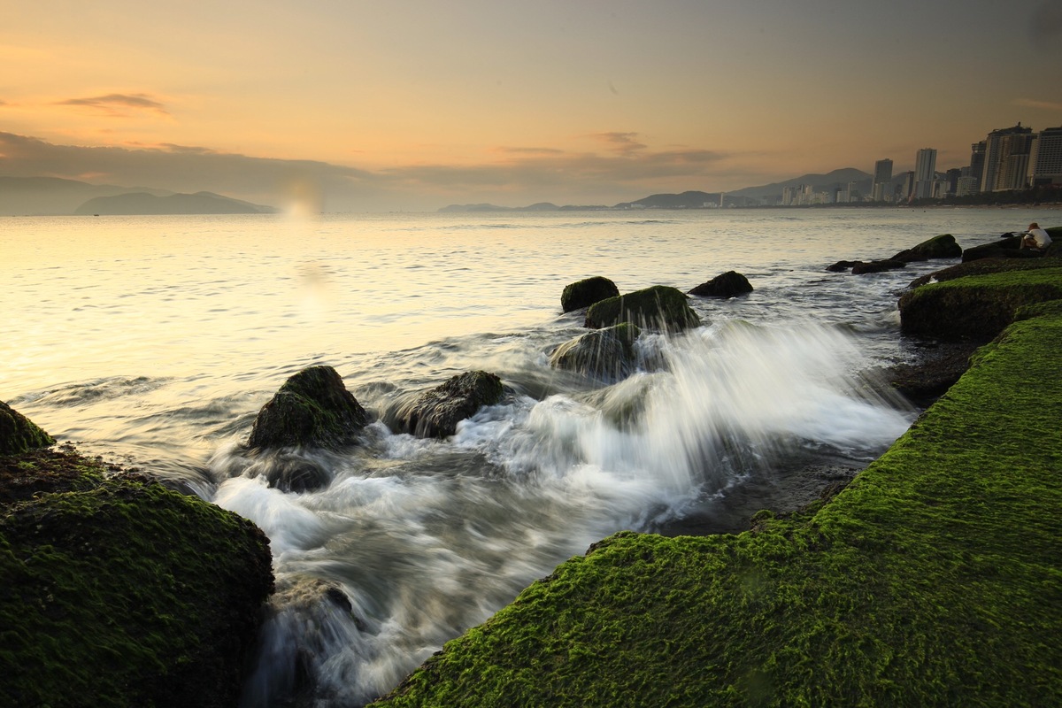 bãi rêu Nha Trang 6