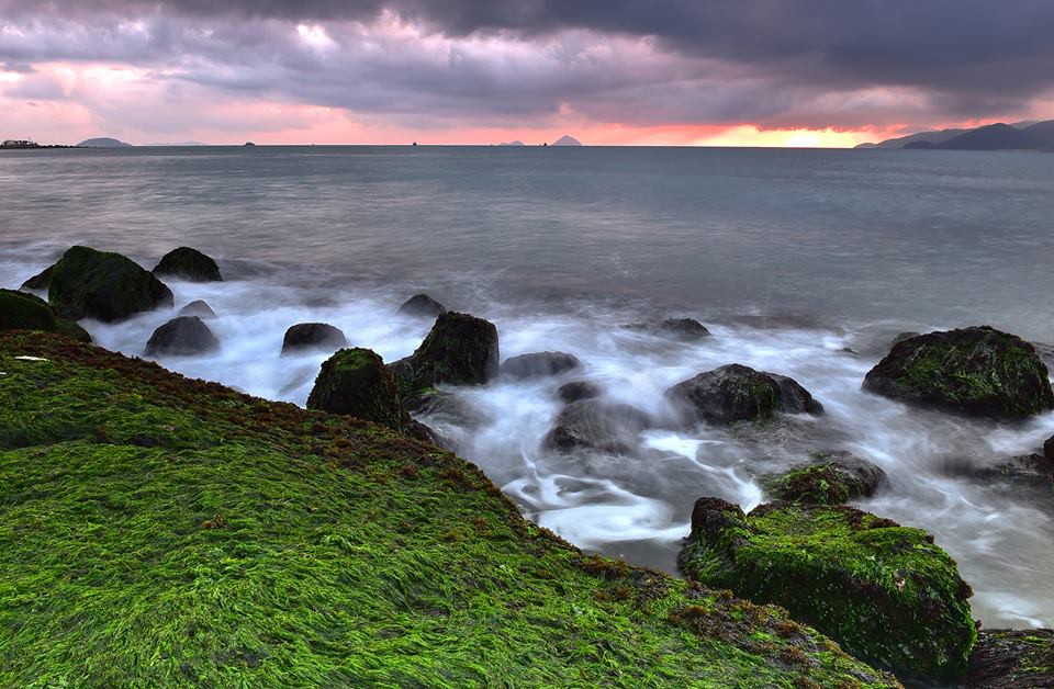 bãi rêu Nha Trang