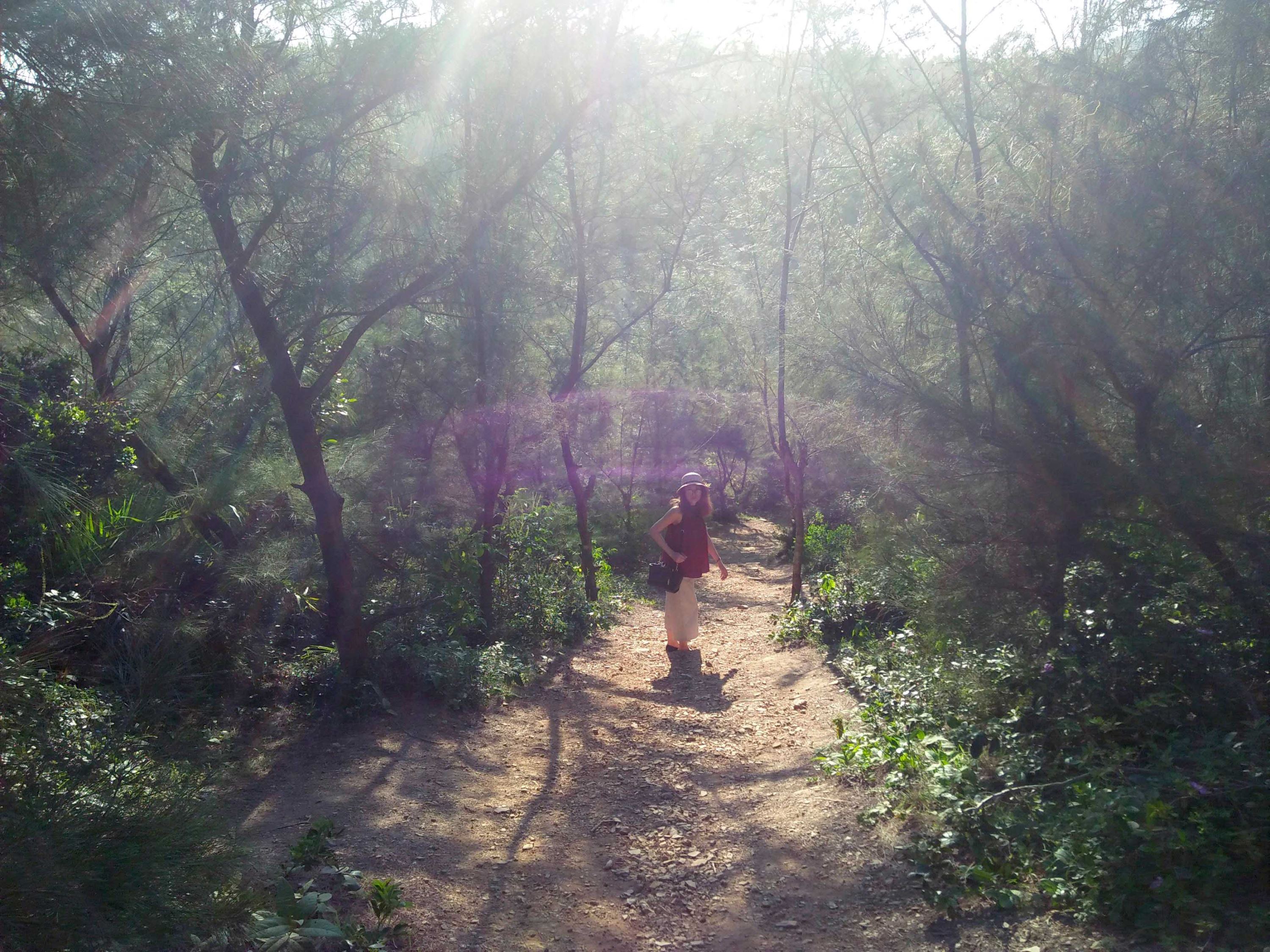 bãi móng rồng Cô Tô 1 bãi móng rồng Cô Tô 1