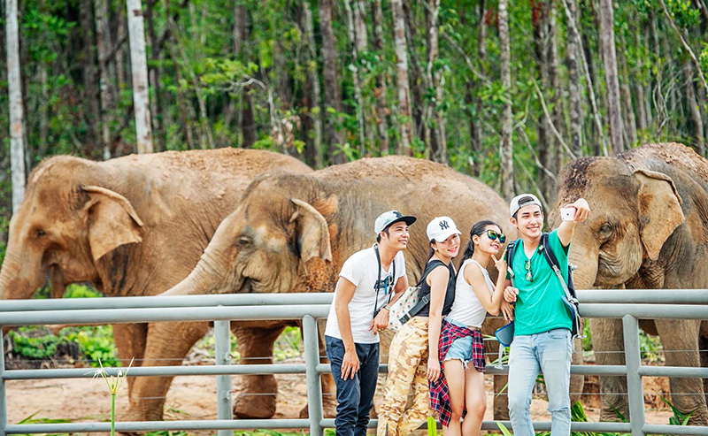 vinpearl-safari-phu-quoc-vuon-thu-ban-hoang-da-tren-dao-ngoc